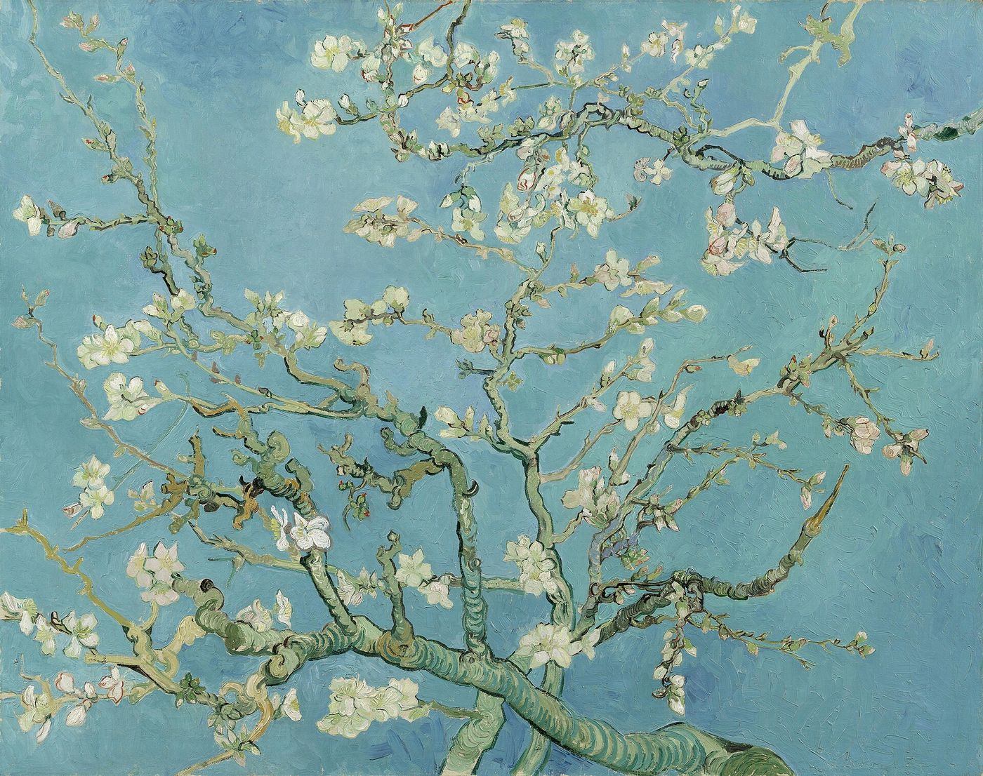 Vincent van Gogh, Almond Blossom — feeling, budding early in the year